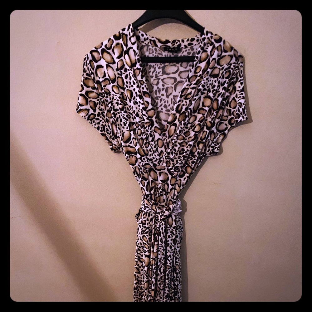 Plus Size Hi Lo leopard print dress.